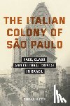 Ricco, Giulia - The Italian Colony of Sao Paulo