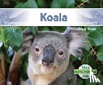 Hansen, Grace - Koala