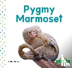 Murray, Julie - Pygmy Marmoset