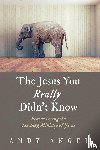 Angel, Andy - The Jesus You Really Didn't Know