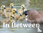 Sayre, April Pulley - In Between