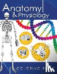 Dr James D. Ladner - Anatomy & Physiology Coloring Book: A Complete Study Guide (3rd Edition)