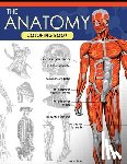 Dr Jessica C. Flynn - The Anatomy Coloring Book: A Complete Study Guide (9th Edition)