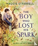 O'Farrell, Maggie - The Boy Who Lost His Spark