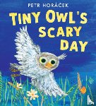 Horácek, Petr - Tiny Owl's Scary Day