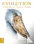 Spring, William - Evolution: A Celebration of Beautiful Animals