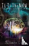 Lie, Suzanne - It Is The Now - Pleiadian Perspective on Ascension Book 4