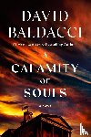 Baldacci, David - A Calamity of Souls