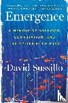 Sussillo, David - Emergence