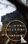 Whitney, D. Quincy - Hidden History of New Hampshire