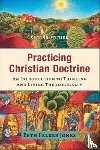 Jones, Beth Felker - Practicing Christian Doctrine