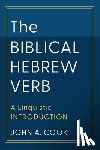 Cook, John A. - Biblical Hebrew Verb