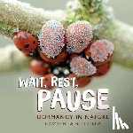 Atkins, Marcie Flinchum - Wait, Rest, Pause: Dormancy in Nature