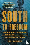 Baumgartner, Alice L. - South to Freedom