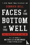 Bell, Derrick - Faces at the Bottom of the Well