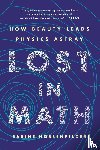 Hossenfelder, Sabine - Lost in Math