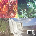 Baby Professor - What Will I See In Brazil? Geography for Kids Children's Explore the World Books