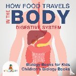 Baby Professor - How Food Travels in the Body