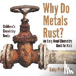 Baby Professor - Why Do Metals Rust? an Easy Read Chemistry Book for Kids