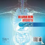 Baby Professor - The Human Body Organs and Organ Systems Books Science Kids Grade 7 Children's Biology Books