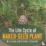 Baby Professor - The Life Cycle of Naked-Seed Plant Life Cycle Books Grade 5 Children's Biology Books