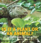 Baby Professor - Is It a Plant or an Animal? How Do Scientists Identify Plants and Animals? Compare and Contrast Biology Grade 3 Children's Biology Books