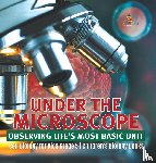 Baby - Under the Microscope