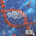 Baby - What is an Organelle? Identifying Organelles and Examining Cell Organelle Functions | Grade 6-8 Life Science
