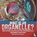 Baby - What is an Organelle? Identifying Organelles and Examining Cell Organelle Functions | Grade 6-8 Life Science