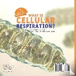 Baby - What is Cellular Respiration? Process, Products and Reactants of Cellular Respiration Explained | Grade 6-8 Life Science