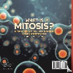 Baby - What is Mitosis? Mitosis Cycle vs. Cell Cycle Explained | Diploid Daughter Cells | Grade 6-8 Life Science