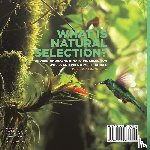Baby - Baby: What is Natural Selection? Understanding How Natural S