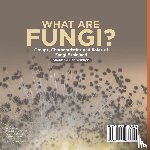 Baby - What are Fungi? Groups, Characteristics and Roles of Fungi Explained | Grade 6-8 Life Science