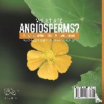 Baby - What are Angiosperms? Types, Reproduction and Identifying Angiosperms | Function of Flowers | Grade 6-8 Life Science