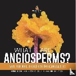 Baby - What are Angiosperms? Types, Reproduction and Identifying Angiosperms | Function of Flowers | Grade 6-8 Life Science