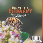 Baby - What is a Flower? Dissecting a Flower, Parts of a Flower and Reproductive Roles | Grade 6-8 Life Science
