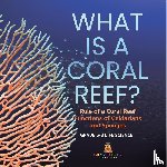 Baby - What is a Coral Reef? Role of a Coral Reef | Functions of Cnidarians and Sponges | Grade 6-8 Life Science
