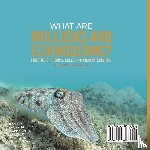 Baby - What are Mollusks and Echinoderms? Functions, Groups, Roles and Characteristics | Grade 6-8 Life Science