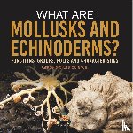 Baby - What are Mollusks and Echinoderms? Functions, Groups, Roles and Characteristics | Grade 6-8 Life Science