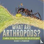 Baby - What are Arthropods? Functions, Groups, Roles and Characteristics of Arthropods | Grade 6-8 Life Science