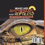 Baby - What are Amphibians and Reptiles? Functions, Groups, Roles and Characteristics | Grade 6-8 Life Science