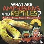 Baby - What are Amphibians and Reptiles? Functions, Groups, Roles and Characteristics | Grade 6-8 Life Science