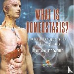 Baby - What is Homeostasis? How Human Body Organs Function | Levels of Organization | Grade 6-8 Life Science