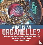 Baby - What is an Organelle? Identifying Organelles and Examining Cell Organelle Functions | Grade 6-8 Life Science