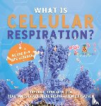 Baby - What is Cellular Respiration? Process, Products and Reactants of Cellular Respiration Explained | Grade 6-8 Life Science