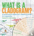 Baby - What is a Cladogram? Examining Evolutionary Relationships in Organisms | Grade 6-8 Life Science