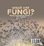 Baby - What are Fungi? Groups, Characteristics and Roles of Fungi Explained | Grade 6-8 Life Science