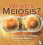 Baby - What is Meiosis? Stages of Meiosis, Prophase, Metaphase, Anaphase and Telophase | Grade 6-8 Life Science