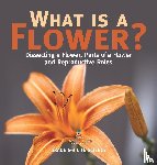 Baby - What is a Flower? Dissecting a Flower, Parts of a Flower and Reproductive Roles | Grade 6-8 Life Science