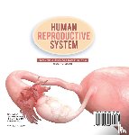 Baby - Human Reproductive System | How the Male and Female Reproductive System Works | Grade 6-8 Life Science